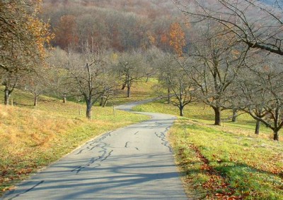 Radweg von Dettingen nach Bad Urach