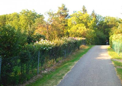 Schrebergartenanlage bei Eningen