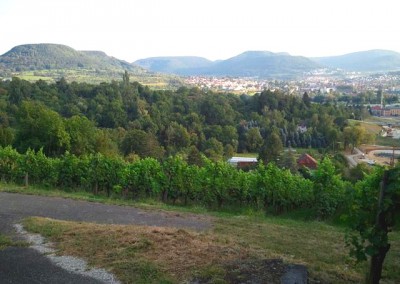 Panoramablick zum Albtrauf Richtung Pfullingen