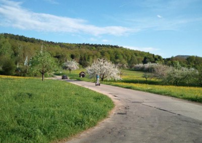 Radweg Richtung Tischardt im Frühling mit SEGWAY Fahrer