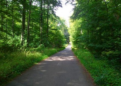 Strecke durch den Wald entlang dem Steinbruch