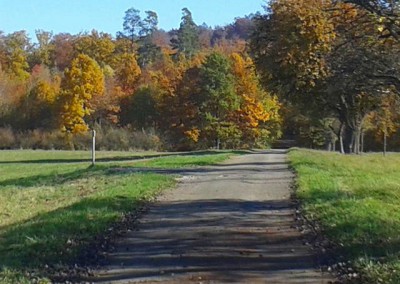 Waldstrecke im Herbst in herrlichen Farben