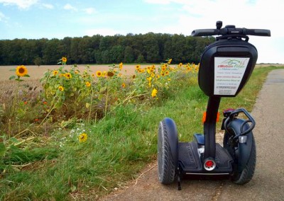 SEGWAY vor Sonnenblumen auf der Hochfläche nach Gundelfingen