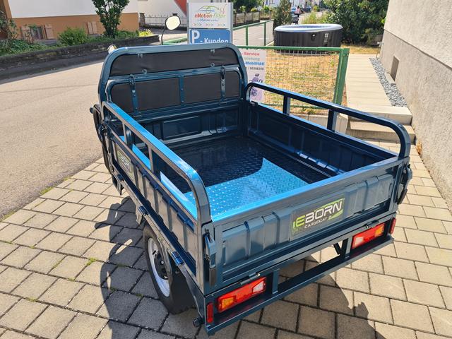 EBORN Cargo Cat 2 Rückansicht EBORN Cargo Cat 2 Rückansicht