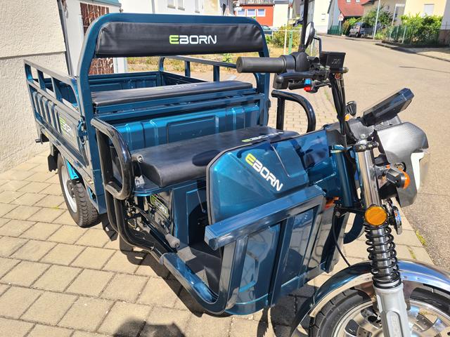 EBORN Cargo Cat 2 Profil rechts EBORN Cargo Cat 2 Profil rechts