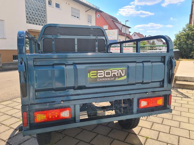 EBORN Cargo Cat 2 hinten geschlossen EBORN Cargo Cat 2 hinten geschlossen